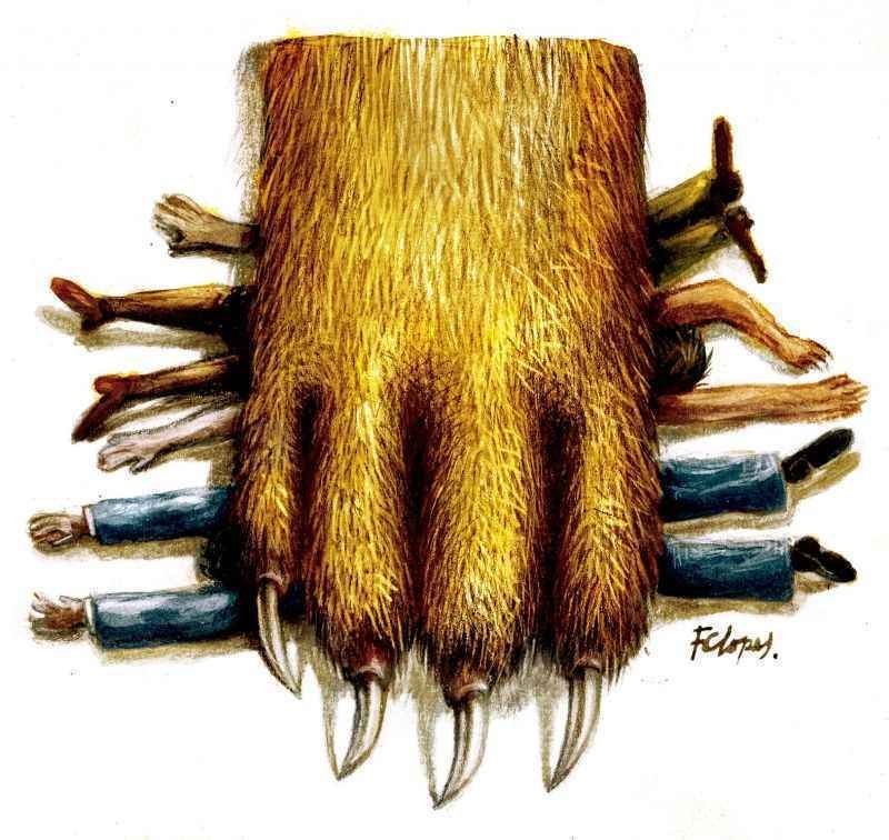 Receita abre consulta a lote de restituição da malha fina do IR