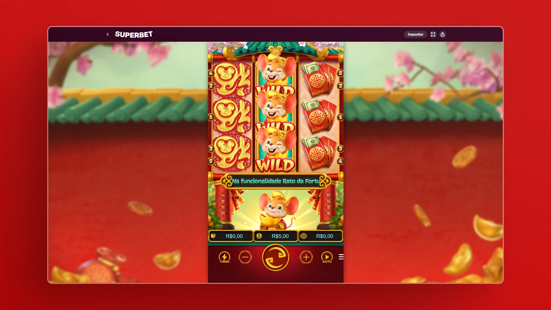 imagem 4 Dicas para se Divertir superbet