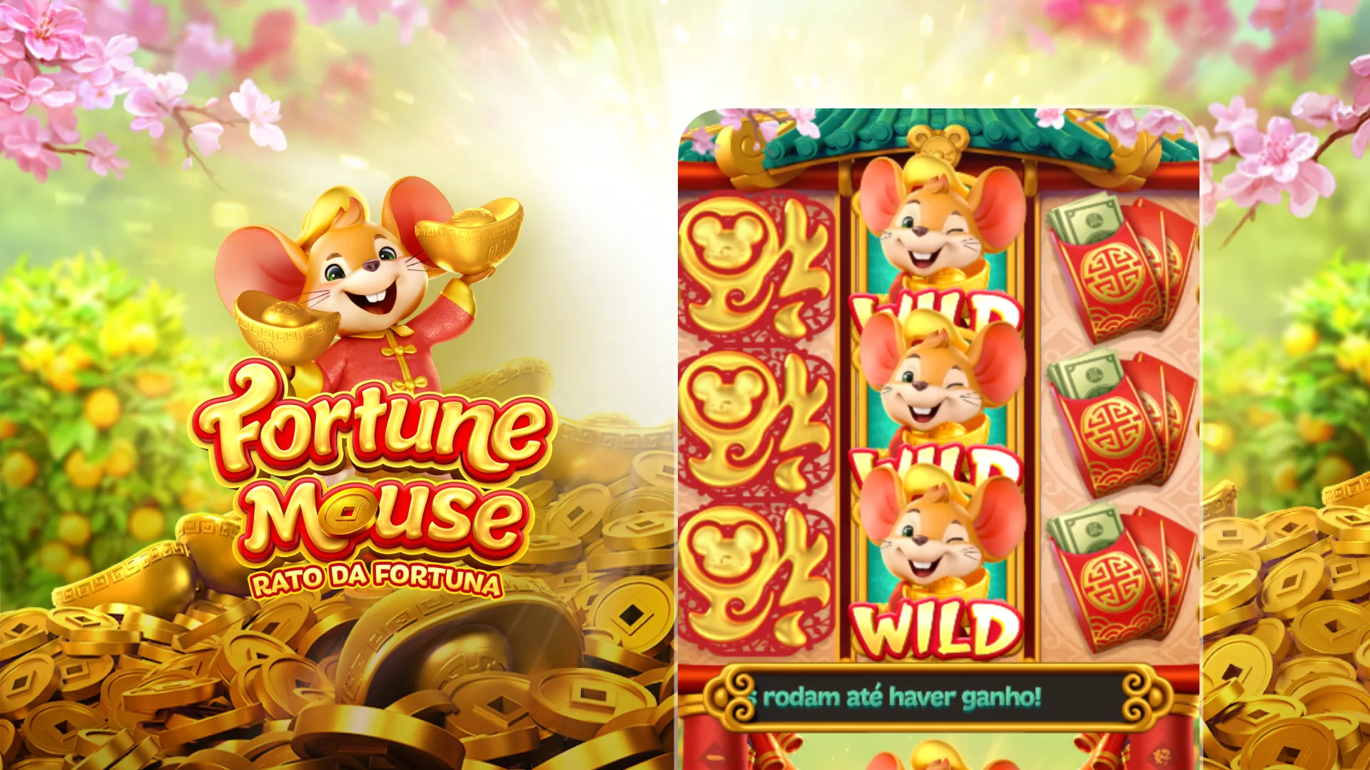 imagem destaque fortune mouse