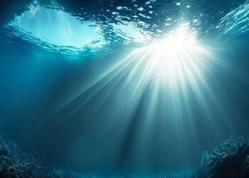 Descobertas no oceano: Uma ilha submersa na costa brasileira