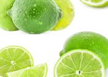 Limão - fruta cítrica