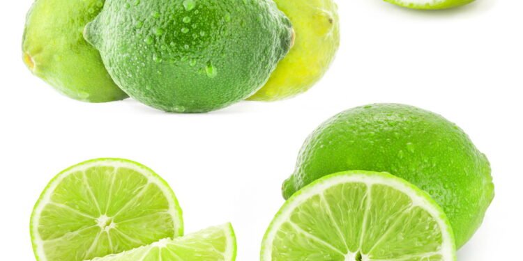 Limão - fruta cítrica