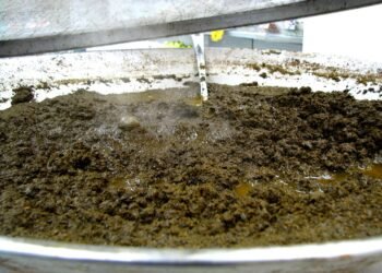 Qual o prato típico da cultura paraense pode matar se não for bem reparado?