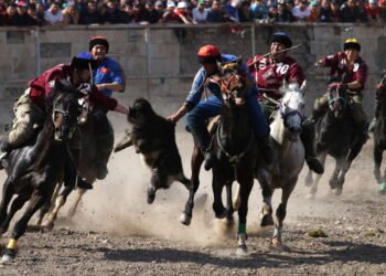 Buzkashi