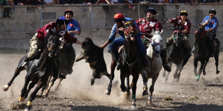 Buzkashi