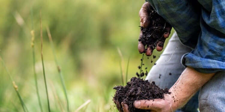 Agricultura regenerativa é uma prática que está crescendo no agronegócio - depositphotos.com / wedge