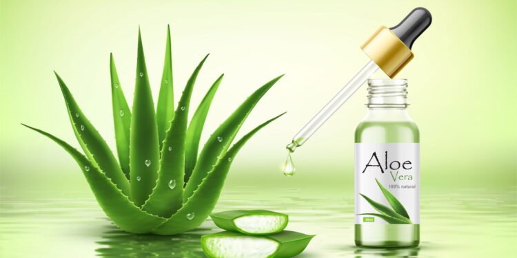 Aloe Vera - Babosa