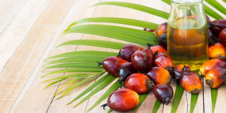 Azeite de dendê - depositphotos.com / chadamas.me.com