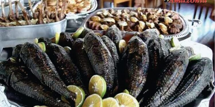 Bodó, peixe amazônico