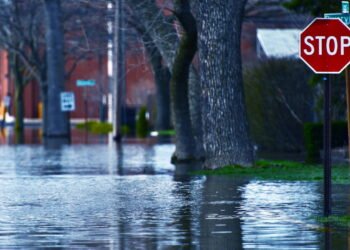 Prevenção de enchentes: cidades referência mundial