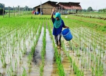 Em Vermont, agricultores usam urina na lavoura