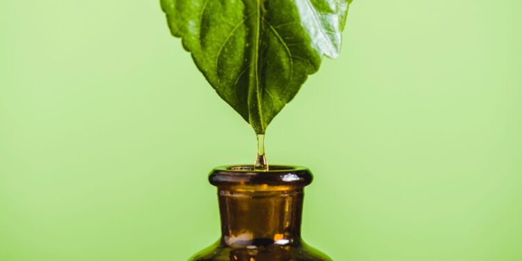 Óleo essencial pingando de folha em garrafa de vidro isolada sobre fundo verde - depositphotos.com / EdZbarzhyvetsky