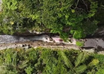 Ilha de Selinha, em Ubatuba, quer título de menor praia do mundo