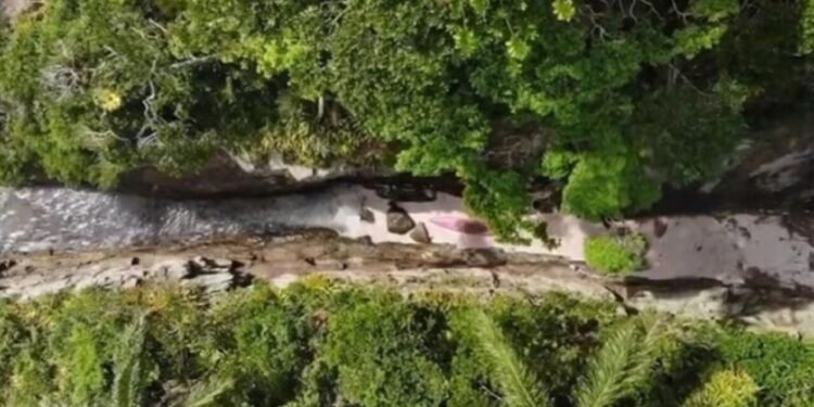 Ilha de Selinha, em Ubatuba, quer título de menor praia do mundo