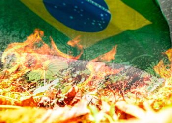 Incêndios florestais no Brasil: Impactos e desafios