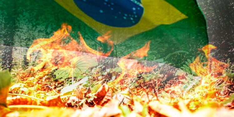 Brasil sobre com incêndios florestais - depositphotos.com / tbtb