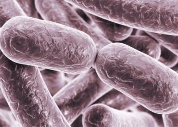 Infecção bacteriana