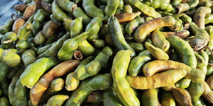 Ingá ainda é uma fruta pouco conhecida - depositphotos.com / sweemingyoung