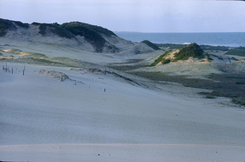 Parque Estadual de Itaúnas