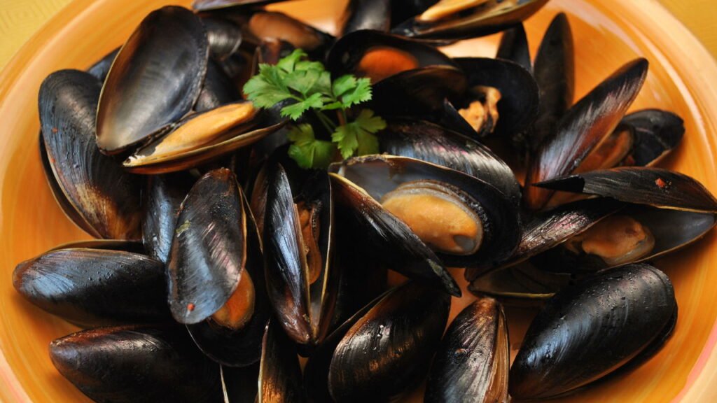 Prato com mexilhões
