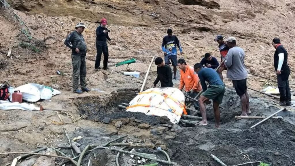 Fóssil de tartaruga