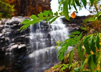 Lago Oeste de Brasília: Onde natureza e conforto se encontram