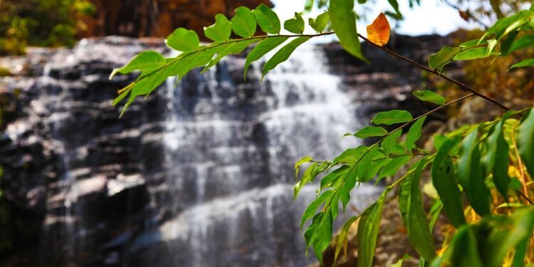 Chapada Imperial,
localizada no Lago Oeste de Brasília - Wikimedia Commons/Gisele Porcaro