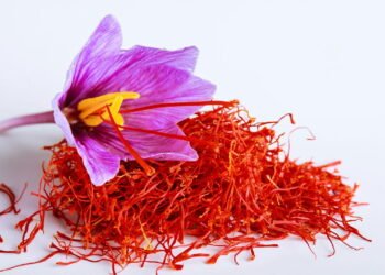 Cúrcuma x Açafrão: Descubra agora as diferenças