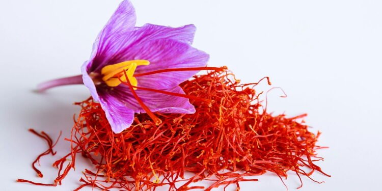 Flor de açafrão -  depositphotos.com / zhaaks@gmail.com