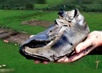 Sapatos gigantes de dois mil anos descobertos na Inglaterra: O que esses vestígios revelam?