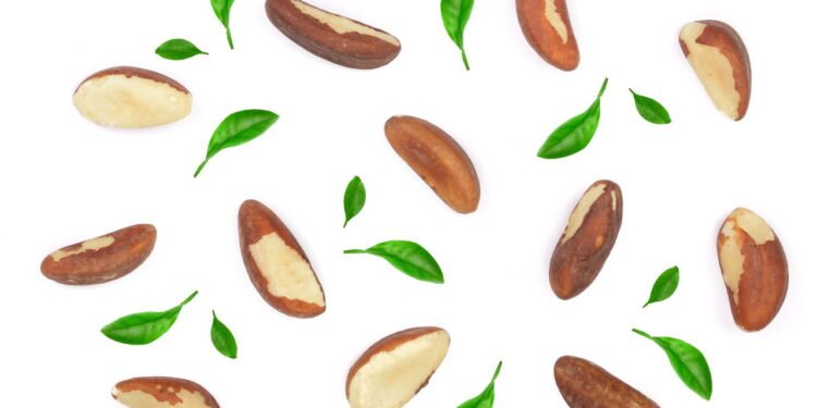 Castanha-do-pará - depositphotos.com / kolesnikovserg