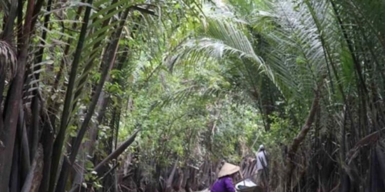 O Delta do Mekong, no extremo sul do Vietnã, é uma das regiões mais fascinantes e ricas do país - Peyman Zehtab Fard/Wikimedia Commons