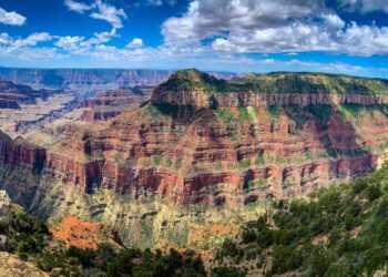Segredos do mar Cambriano: Fósseis raros revelam criaturas estranhas nas profundezas do Grand Canyon