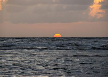 Ilha de Marajó: Um destino único