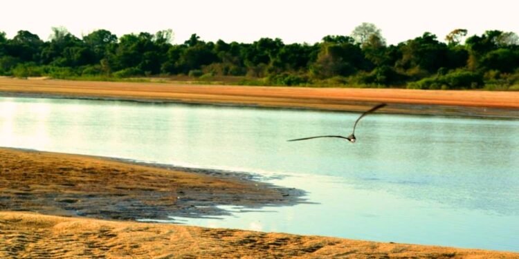 Ilha do Bananal - Rio Javaé - Wikimedia Commons/Amanda Leite