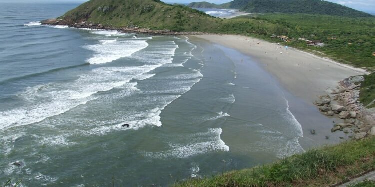 Parque Estadual Ilha do Mel - Wikimedia/Deyvid Setti e Eloy Olindo Setti