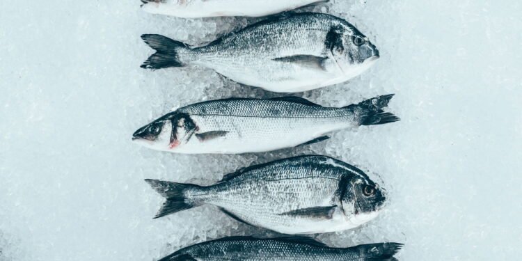 Pescado nacional conquista outras partes do mundo - depositphotos.com / VadimVasenin