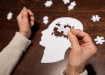 Você nunca imaginou tudo isso por trás de simples quebra-cabeças