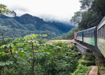 Você já viu um trem flutuar sobre a floresta? Descubra esse passeio inesquecível