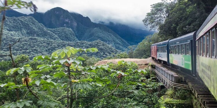 Passeio pela Serra do Mar Paranaense - Wikimedia Commons/Simone Balster