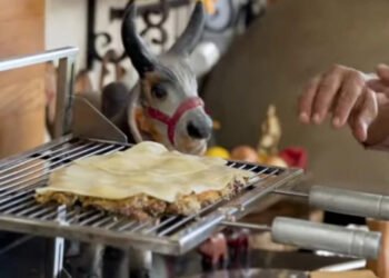 Churrasco à parmegiana