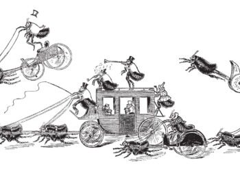 O circo de pulgas: Entre o real e o ilusório