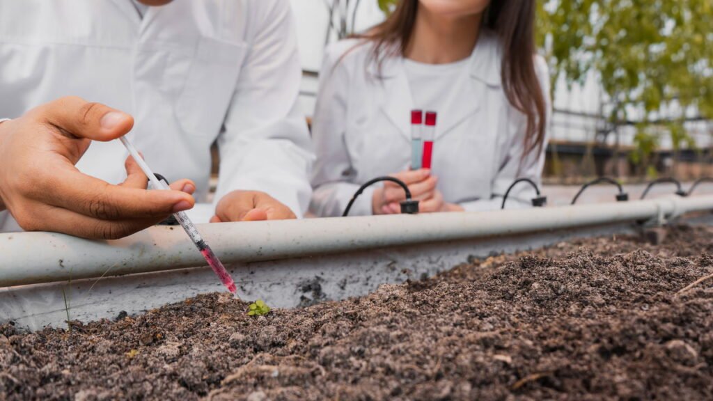 Urina como fertilizante