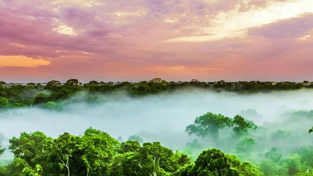 Floresta Amazônica
