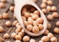 Descubra por que o grão-de-bico é um segredo nutritivo