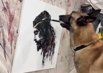 Cachorro pinta rosto Jesus Cristo