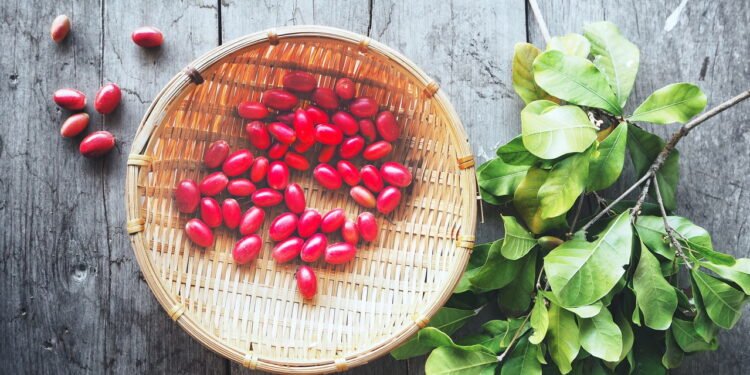 Miracle Berry - depositphotos.com / luknaja