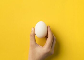 O ovo em pé na linha do Equador: Ciência, mito ou truque turístico?