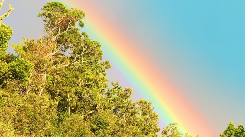 Fundação Cacique Cobra-Coral alega influenciar nas condições climáticas