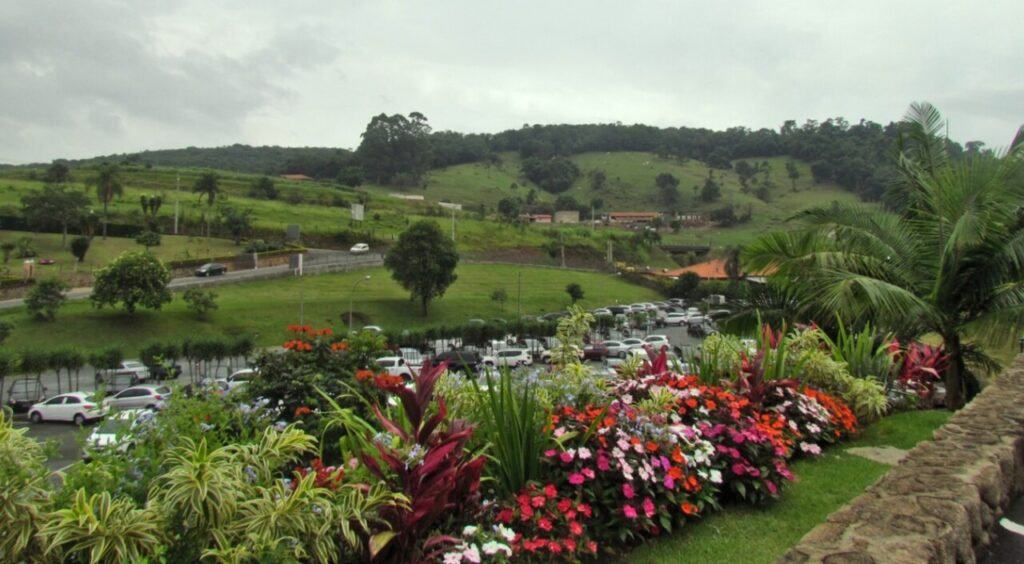 Rota do vinho em São Roque
